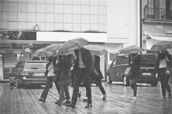 梦见狂风暴雨向自己刮来