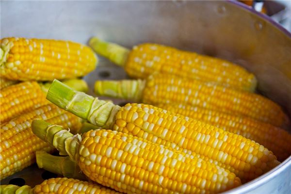 梦见下雨收玉米粒