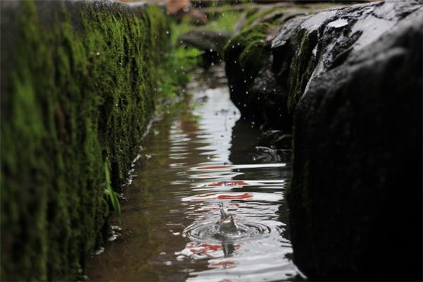 梦见水沟