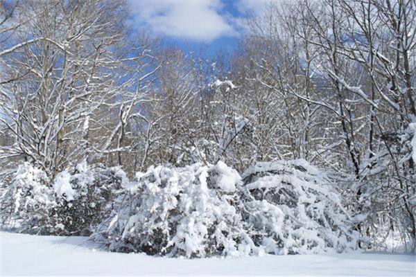 梦见降雪