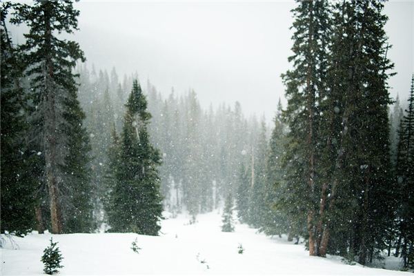 梦见下雪打雷