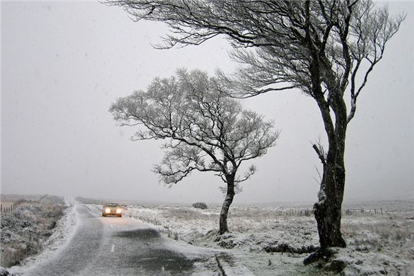 梦见下雪天开车