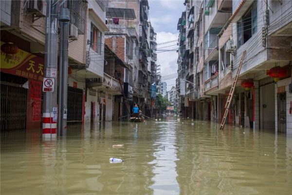 梦见发大水在救人