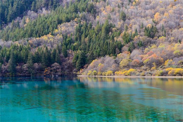 梦见湖水