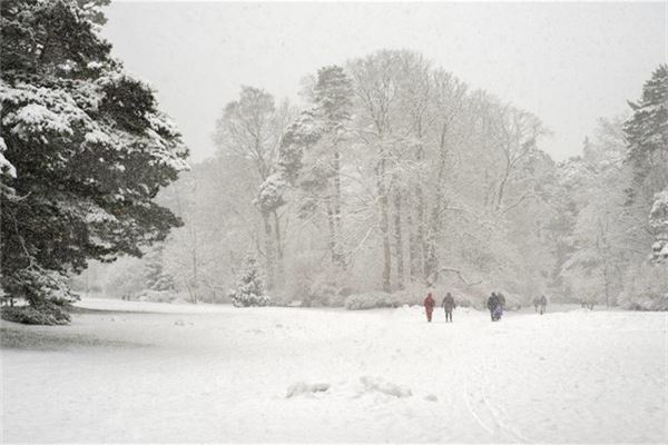 梦见大雪纷飞迷眼睛