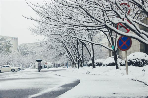 梦见六月下雪