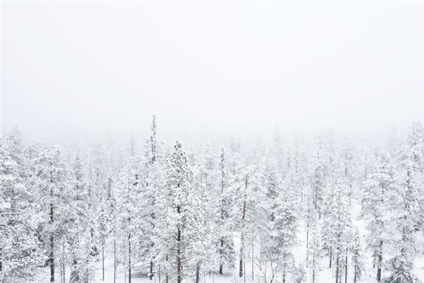 梦见下雪刮风