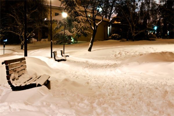 梦见月光雪景