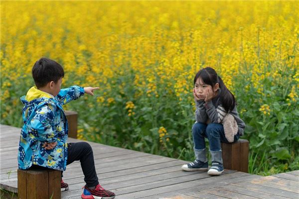 梦见和别人吵架输了