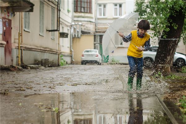 梦见下雨地上好多积水